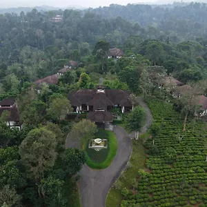 https://jeevess-wayanad.kerala-hotels.net