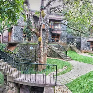 https://bnb-wildernest.kerala-hotels.net